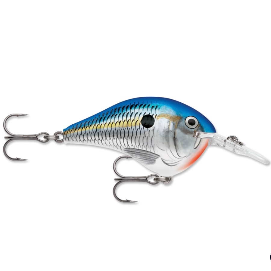 Rapala DT-10 Wobbler / Kunstköder mit Drillingshaken Blue Shad 17g