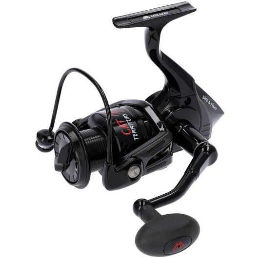 Mikado Cat Territory 5006 FD